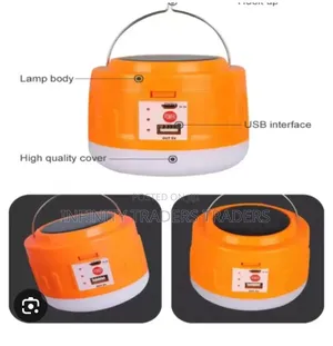 Dplight F17-125 Pumpkin Lamp