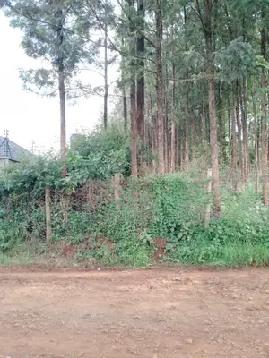 Kitusuru Land Sale