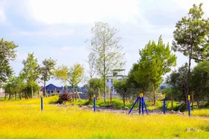 Buy and Build Plots on Sale