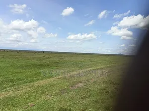4154 Acres
