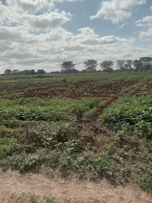2 Acres at Kimana. Kajiado