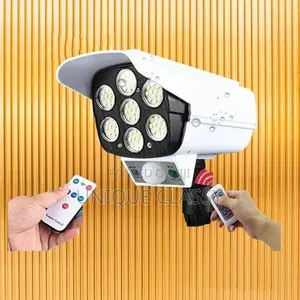 Solar Motion Sensor Lights