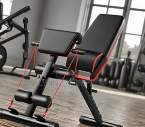 Gym Bench Gym Bench
