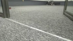 Modern Delta Carpets for Hotels and Apartments