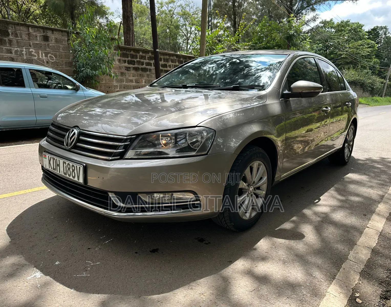 Volkswagen Passat 2013 Brown