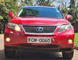 Lexus RX 2010 Maroon