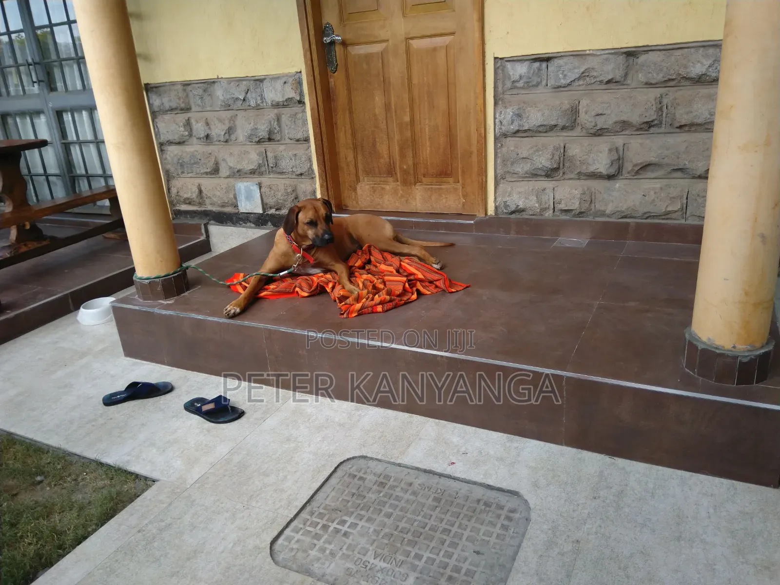 Tilling Terrazzo
