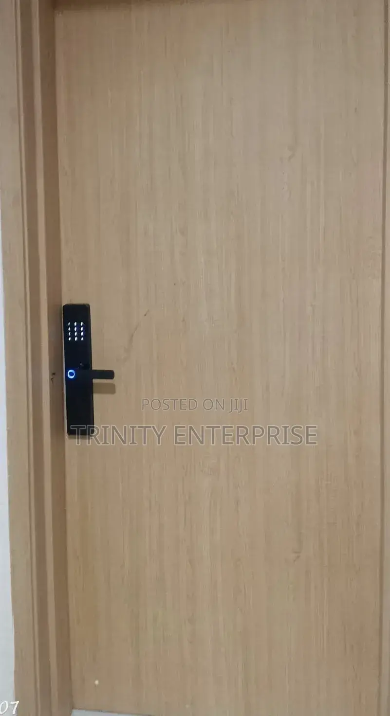 Wifi Tuya App Control Smart Door Lock Biometric