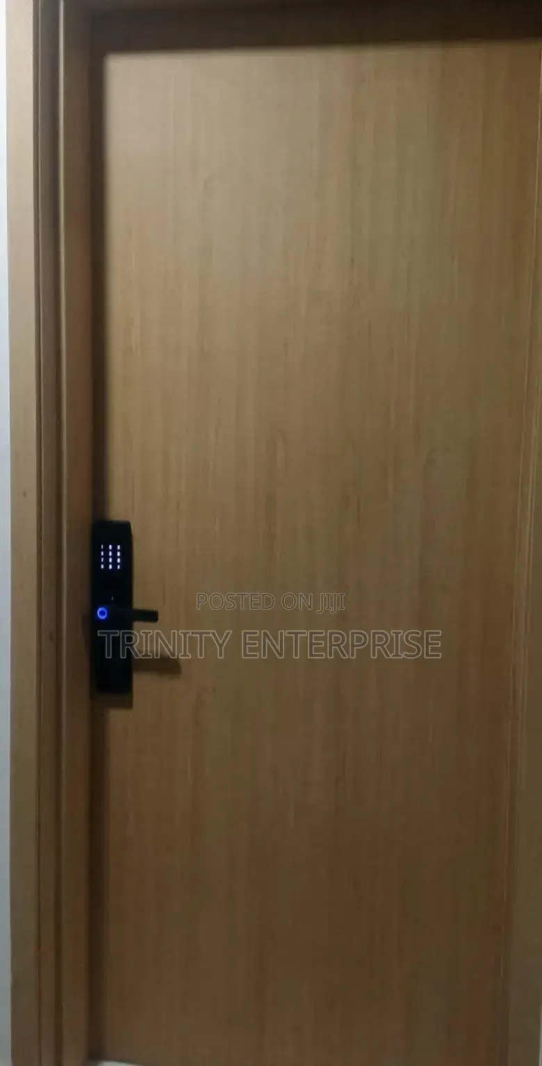 Wifi Tuya App Control Smart Door Lock Biometric
