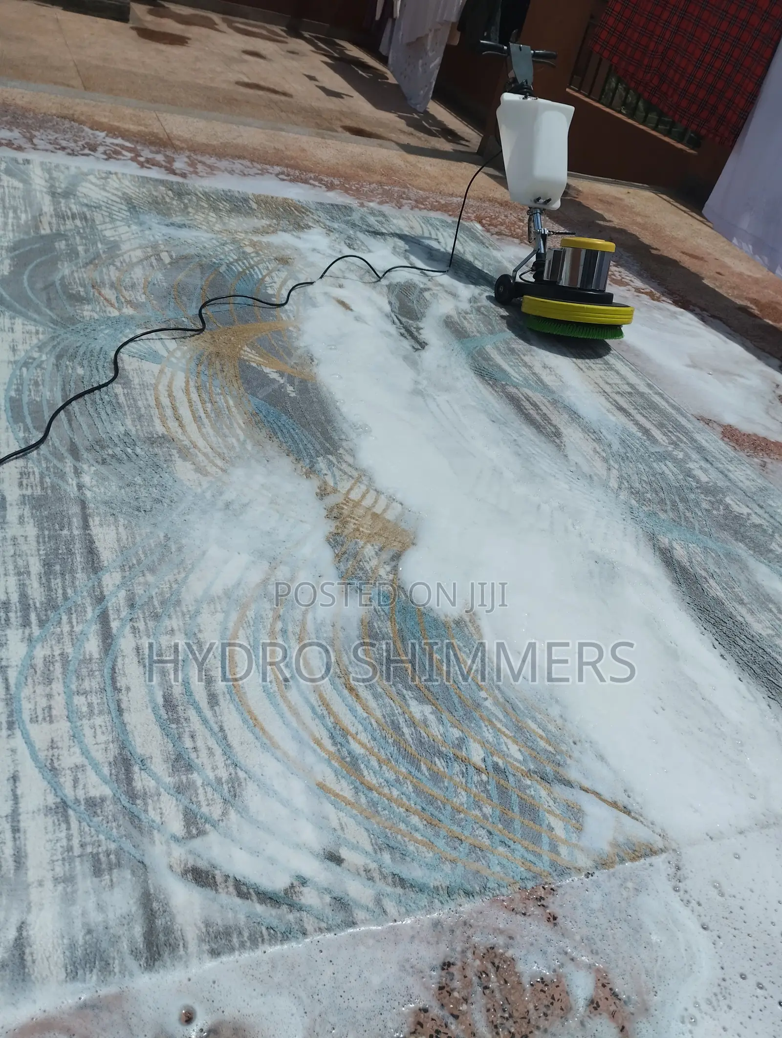 Professional Carpet Cleaning