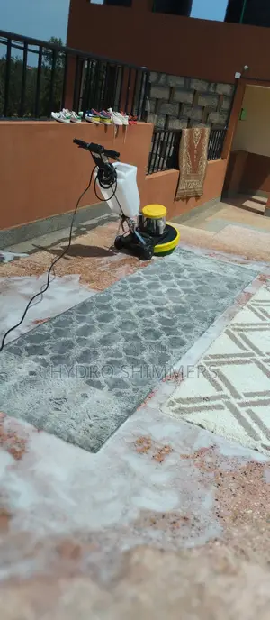 Professional Carpet Cleaning
