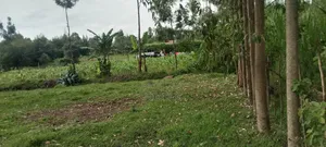 Ngeria Land for Sell