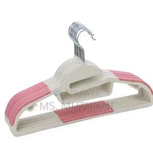 Quality Abs 10pcs Household Hangers