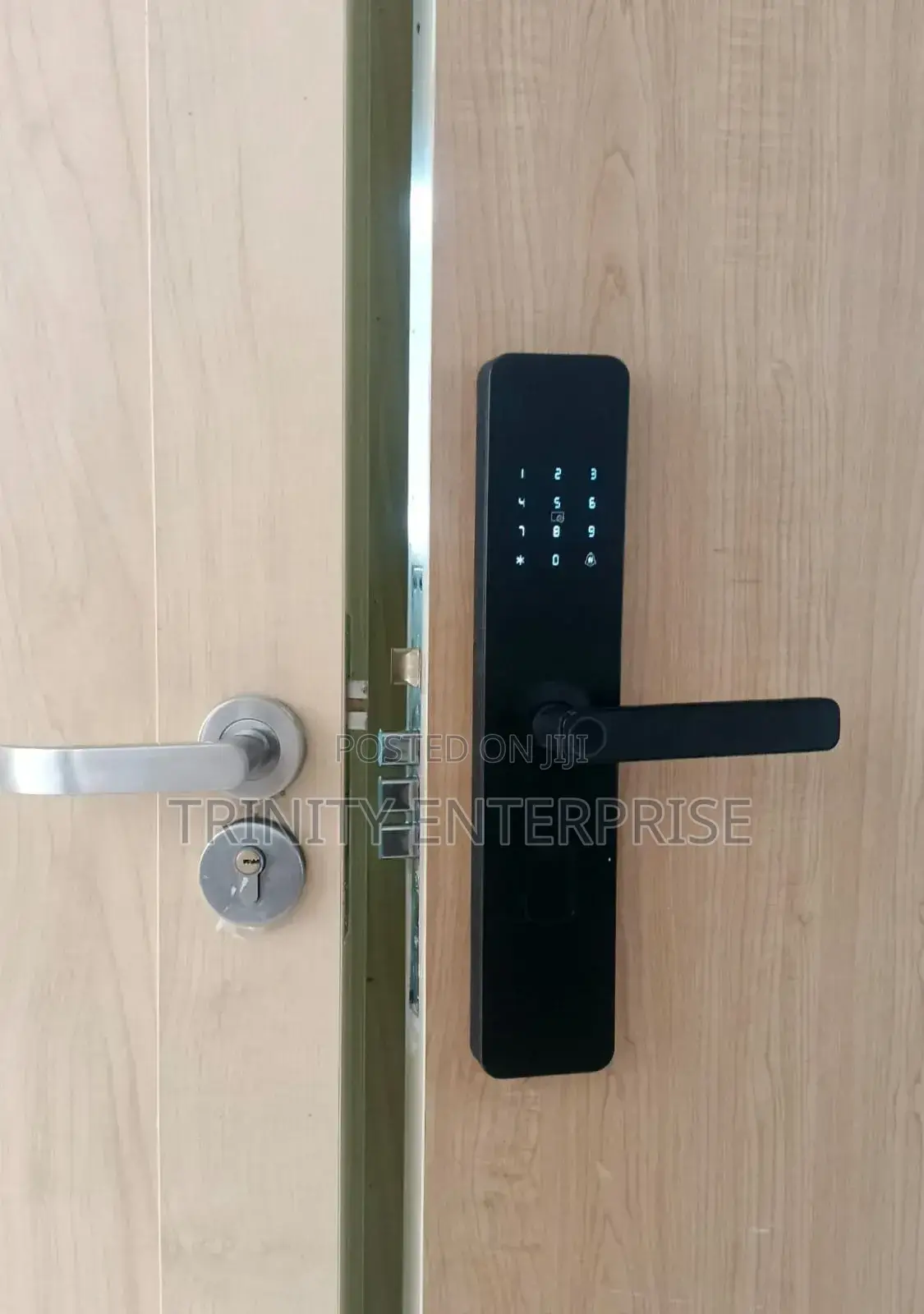 Smart Lock ,Tuya Wifi Remote Control Keyless Biometric Fingerprint