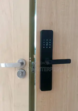 Smart Lock ,Tuya Wifi Remote Control Keyless Biometric Fingerprint