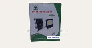 30watts Direct Solar Floodlight