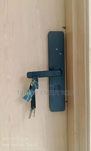 Smart Locks Tuya Wifi Biometric Door Lock