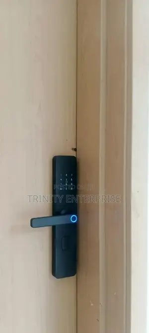 Smart Locks Tuya Wifi Biometric Door Lock