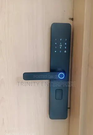 Tuya Biometric Smart Digital Locks With Fingerprint Unlock Options,