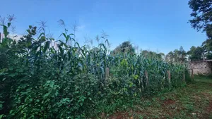 1/8 of an Acre Plot 60 Meters Off Sagana Kagio Road
