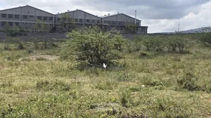 Kyumvi: 6 Acres for Lease