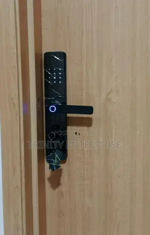 Tuya Wi-Fi Fingerprint Door Lock, Security Smart Lock With Wifi App