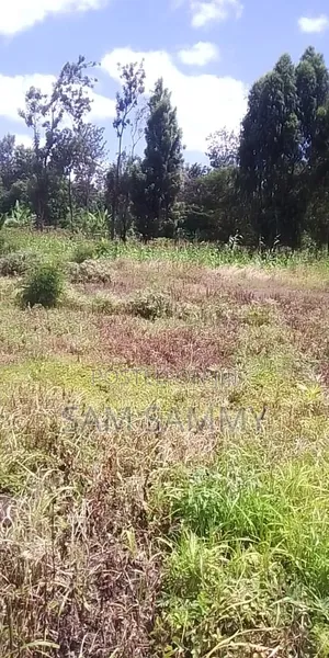 Plot for Sale