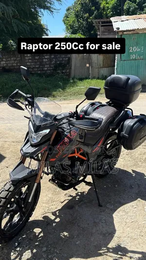 Regal Raptor DY250 2025 Black
