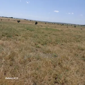 Isinya 50x100 Plots for Sale