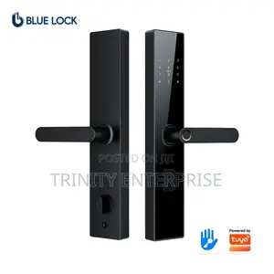 Smart Lock Tuya Smart Door Locks Keys Less Entry Password Fingerprints