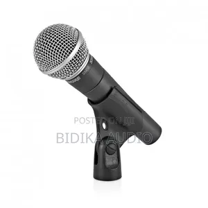Shure Sm58 Dynamic Vocal Microphone With Boss Digital Wireless System