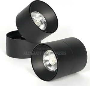 Cob Downlight