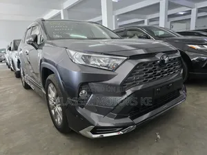 Toyota RAV4 XLE Premium AWD 2020 Gray