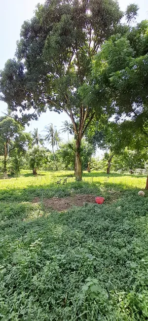 For Sale 1/8 Acre Plots Gated Mtwapa