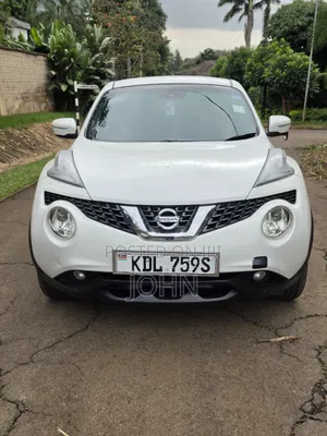 Nissan Juke 2015 Pearl