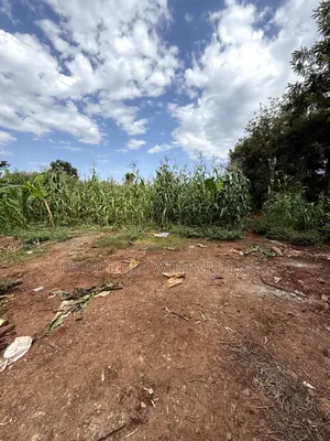 1/8 Acre Plot for Sale in Gatuto Town, Kutus.