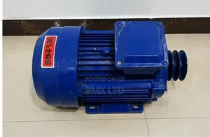 Motor Unit