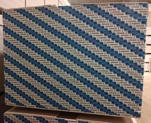Dragon Gypsum Board 9mm – High-Quality Ceiling Board