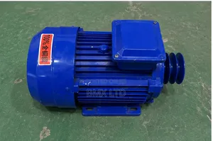 Heavy Duty Motor