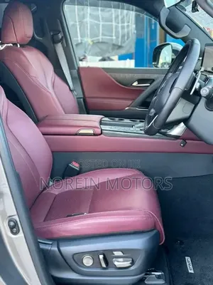 Lexus LX 500d 2023 Gray