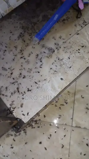 Professional Pest Control Fumigation Services