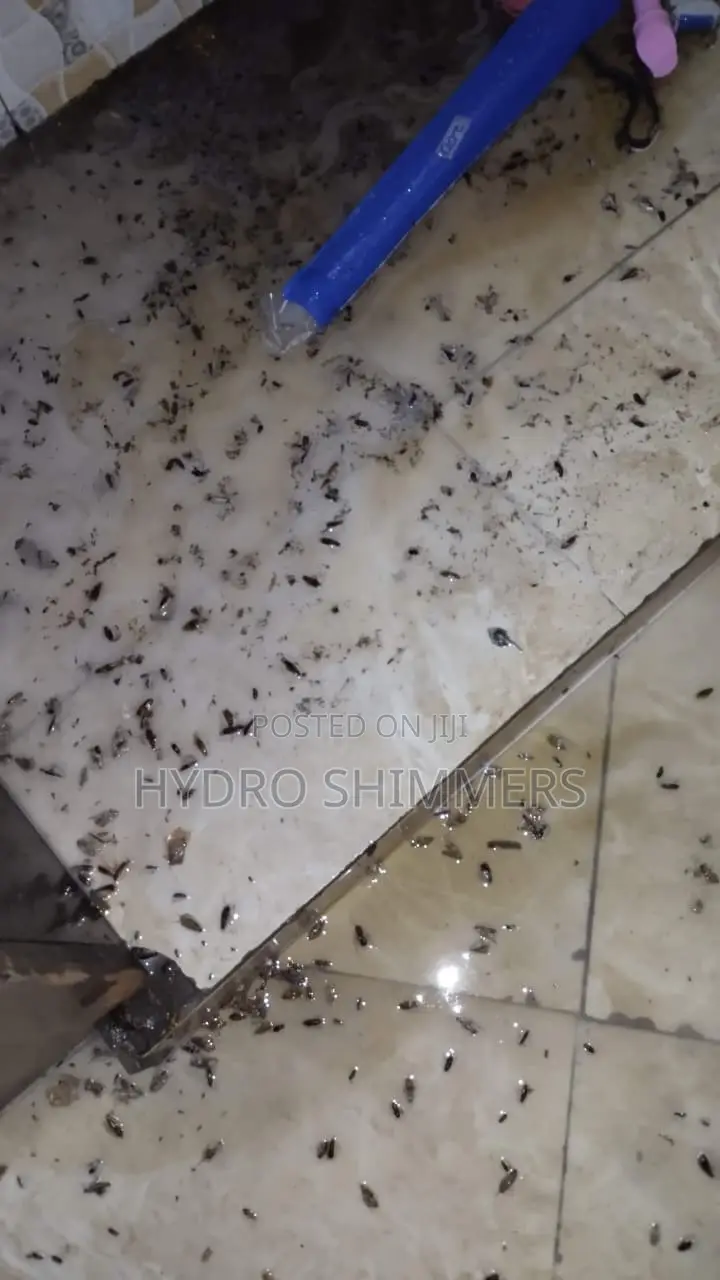 Professional Pest Control Fumigation Services