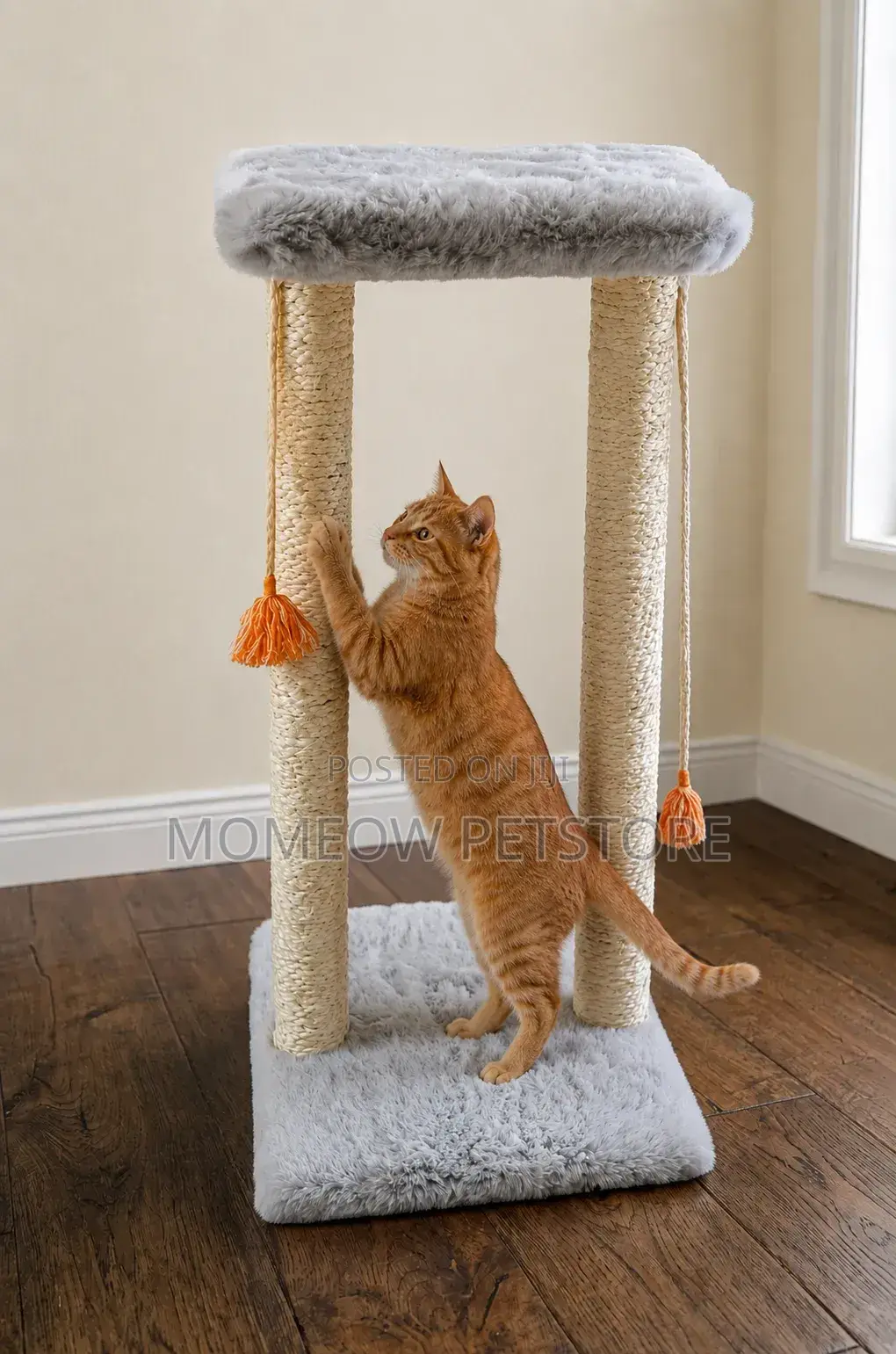Cat Scratching Post and Scratcher