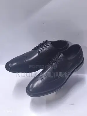 Gino Rossi Official Shoes