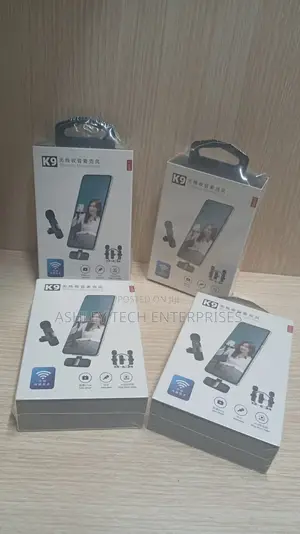High Performance Microphone Wireless Mic