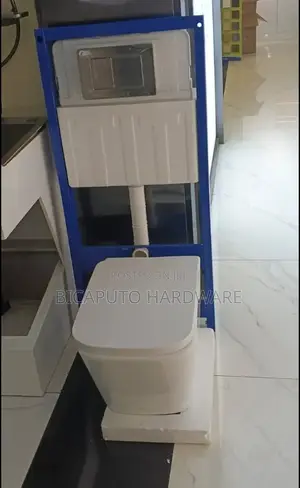 Wall Hung Toilet
