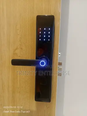 Smart Lock Digital Biometric Dogita Dor Lock Fingerprints Pass Cards
