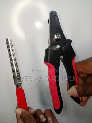 Large Nail Clipper + Nail File Set