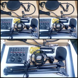 V8 Professional Studio Condenser Microphone