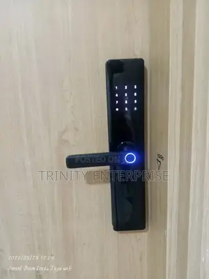 Wifi Tuya Dmart Door Lock Keyless Entry Password Fingerp Cards